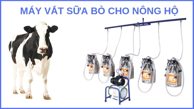 Giàn máy vắt sữa bò cố đinh