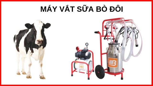 Máy vắt sữa bò đôi cố định