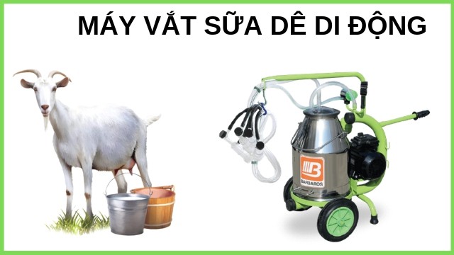 Máy vắt sữa dê đôi di dộng