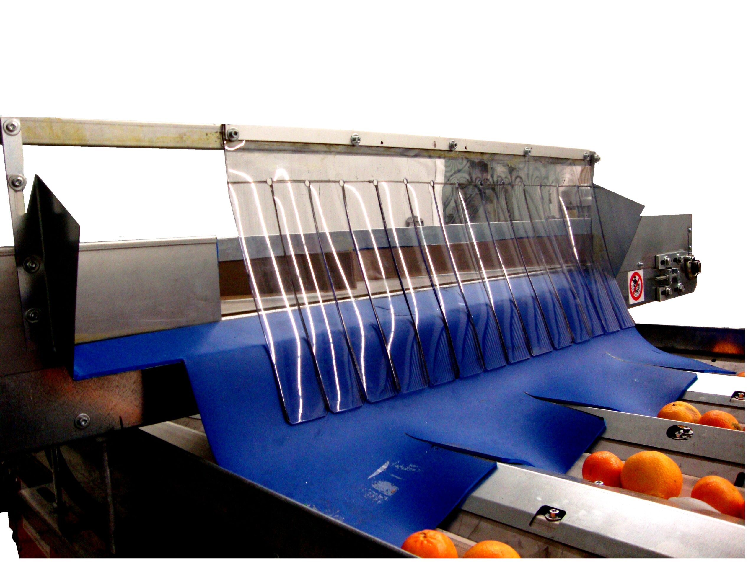 Hệ thống phân loại trái cây