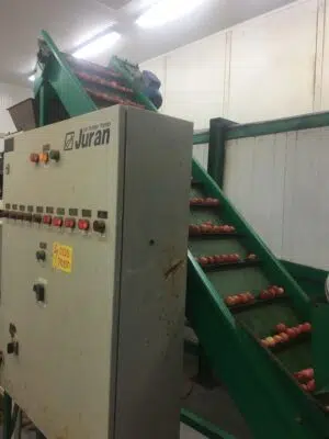 Góp phần đưa quả vải Bắc Giang ra biển lớn