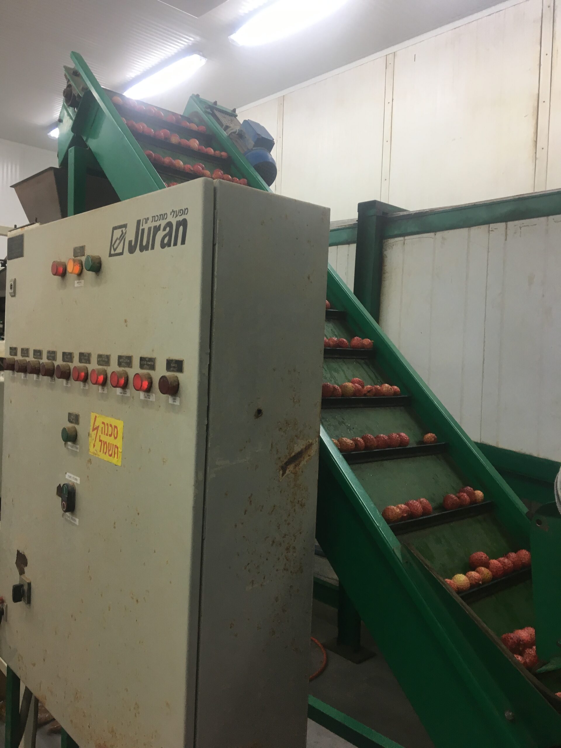 Góp phần đưa quả vải Bắc Giang ra biển lớn