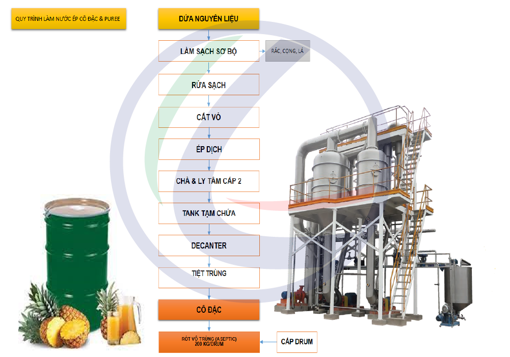 Quy trình cô đặc dứa