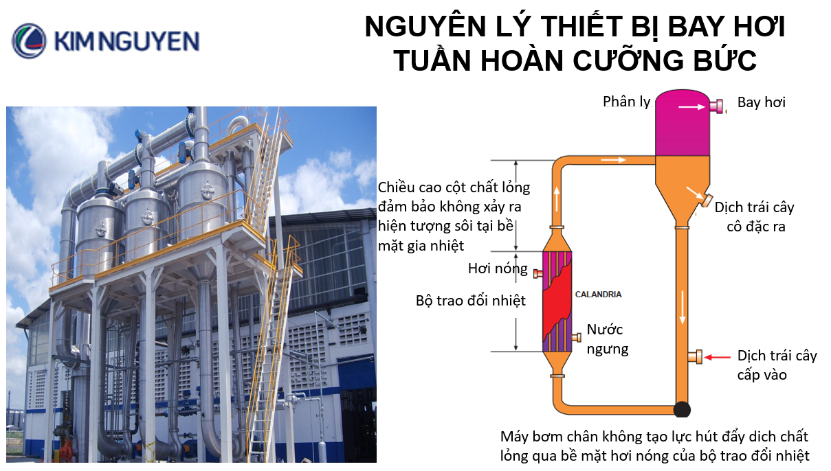 Thiết Bị Bay Hơi Cô đặc Tuần Hoàn Cưỡng Bức Kim Nguyen Corporation 5865