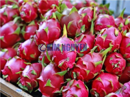 Thanh Long 02