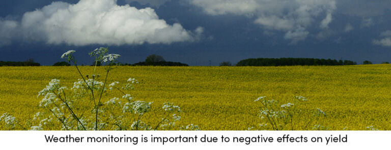 Thay thế Nhìn vào Mây bằng Công nghệ Thông minh