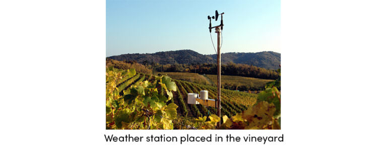 Thay thế Nhìn vào Mây bằng Công nghệ Thông minh