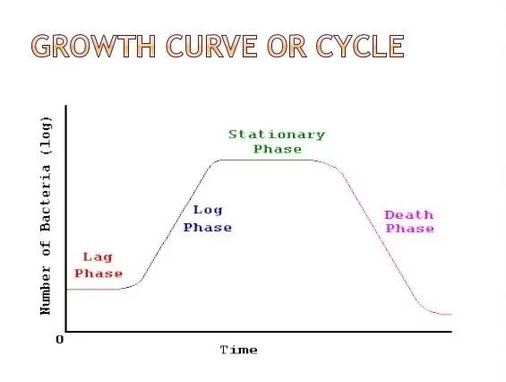 Những Điều Bạn Nên Biết Về Cách Giảm Nguy Cơ Ngộ Độc Thực Phẩm