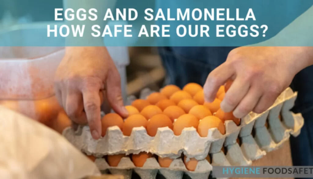 Trứng và vi khuẩn Salmonella: Trứng của chúng ta an toàn đến mức nào?