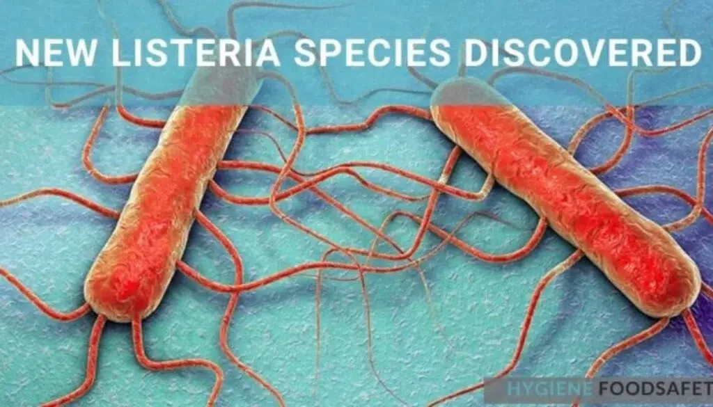 Loài Listeria mới được phát hiện: Điều này có ý nghĩa gì đối với an toàn thực phẩm?