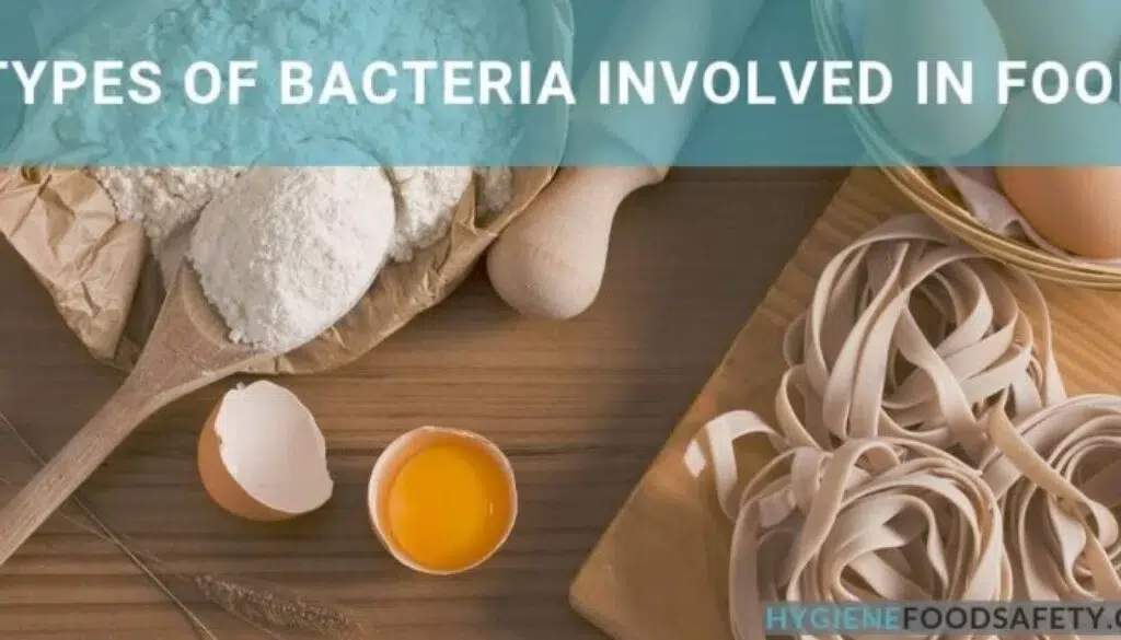 Vi khuẩn liên quan đến thực phẩm: Tìm hiểu về sự hư hỏng thực phẩm và vi khuẩn gây bệnh