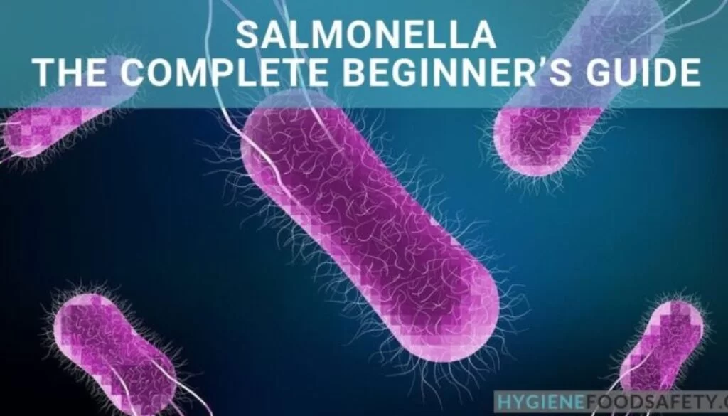 Vi khuẩn Salmonella: Nguyên nhân, Triệu chứng, Phòng ngừa và Điều trị