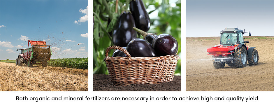 6 chỉ số hiệu suất đất sẽ tăng năng suất