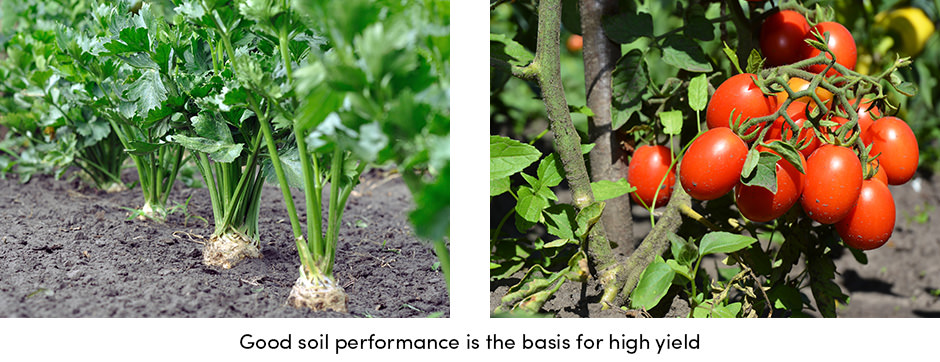 6 chỉ số hiệu suất đất sẽ tăng năng suất