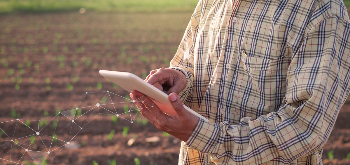AGRIVI Thiết lập Tiêu chuẩn Giám sát và Báo cáo ESG trong Nông nghiệp