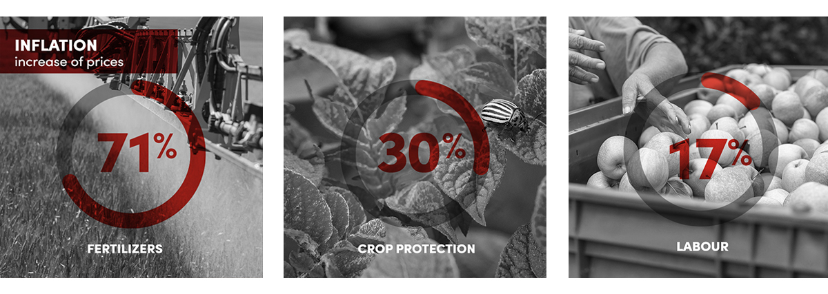 Canh tác doanh nghiệp: Nắm bắt sự đổi mới và tối đa hóa lợi nhuận trong thời điểm không chắc chắn