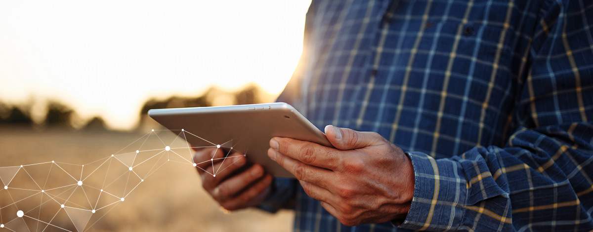 7 bước về cách số hóa sản xuất trang trại