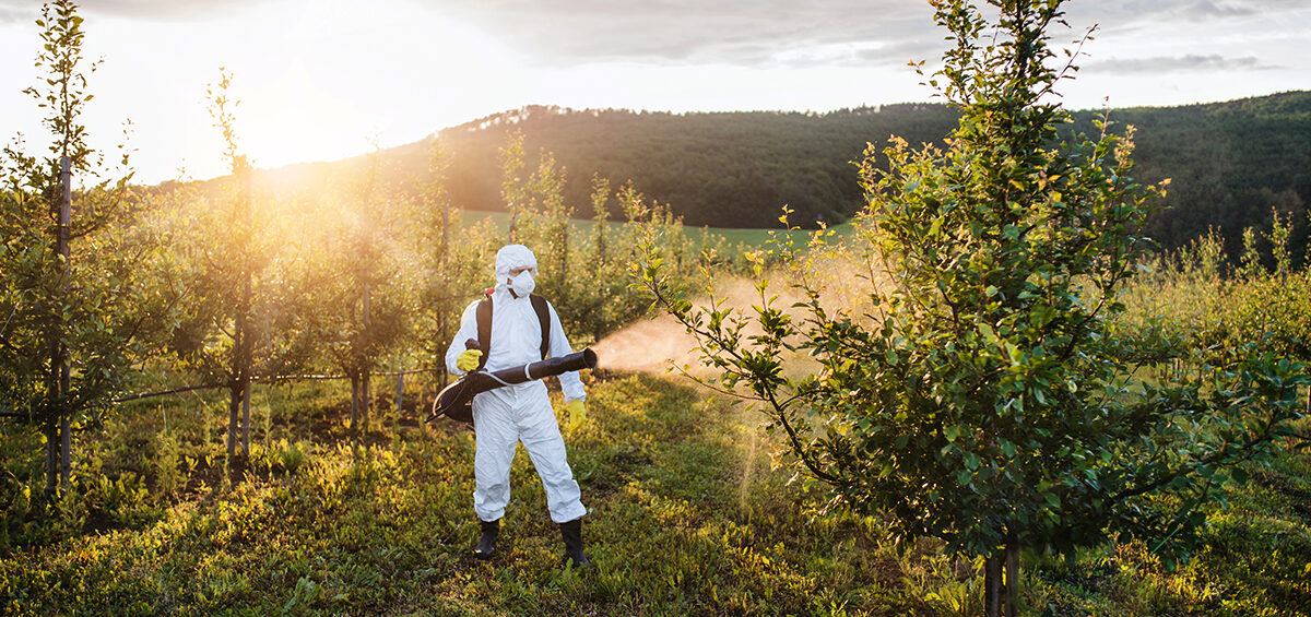 Ô nhiễm nông nghiệp và môi trường: Có thể làm gì?