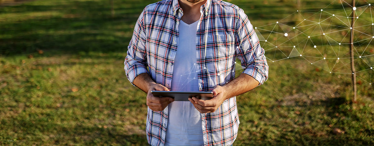 Nông nghiệp kỹ thuật số chống lại sự bất thường của cây trồng