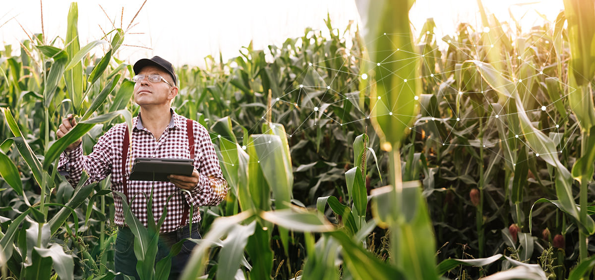 Số hóa trang trại để các dự án của EU thành công hơn