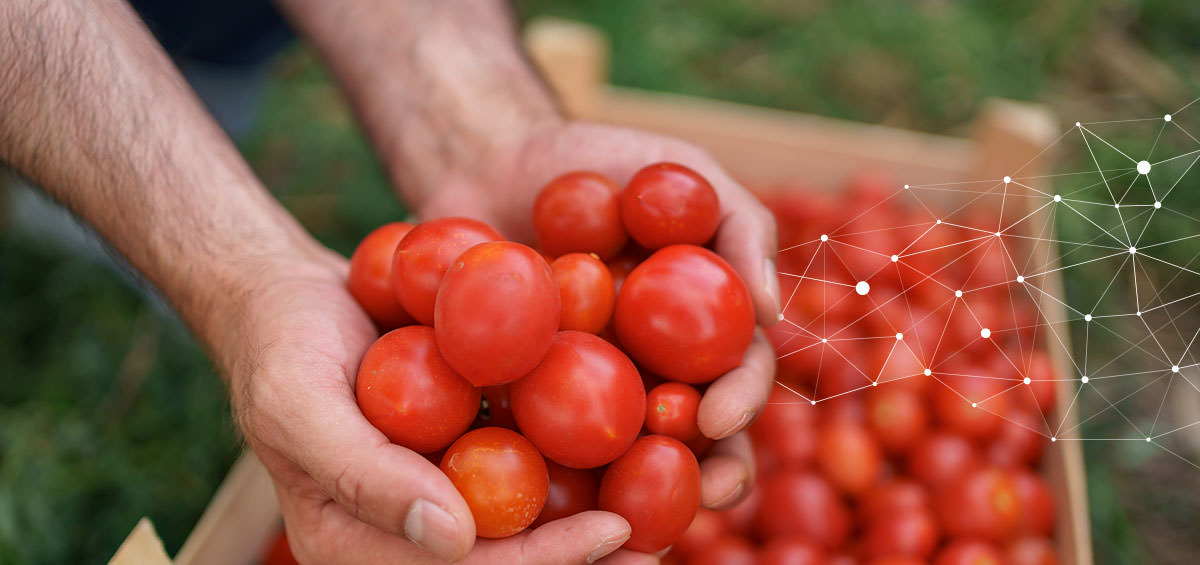 Sản xuất trang trại hiệu quả thông qua chia sẻ kiến thức