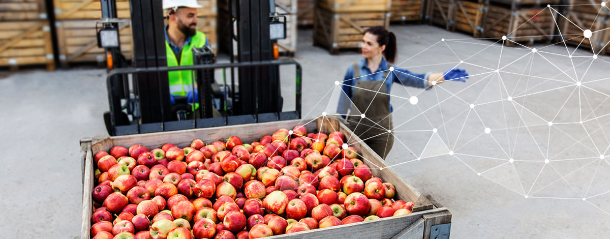 Ngày An toàn Thực phẩm Thế giới: Các Quy định ESG Thúc đẩy Tính minh bạch trong Ngành Thực phẩm như thế nào?