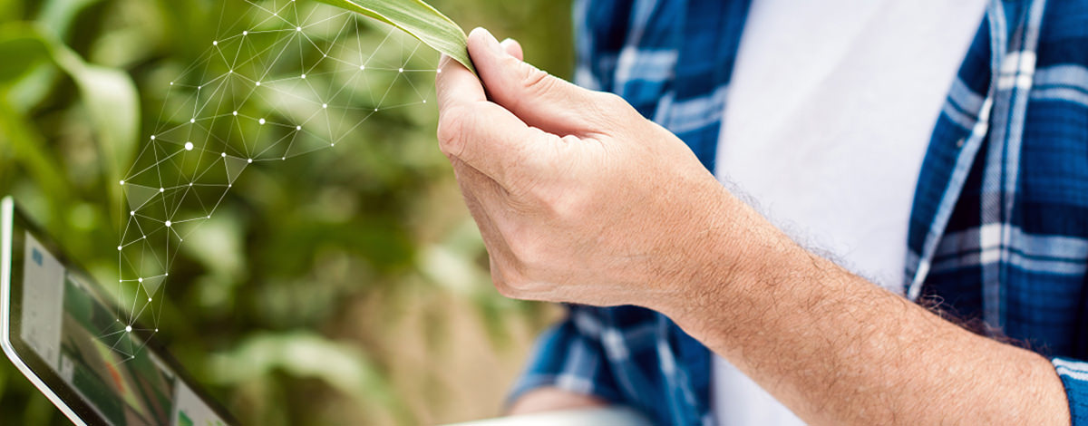 Hình ảnh vệ tinh như một công cụ mạnh mẽ để quản lý rủi ro