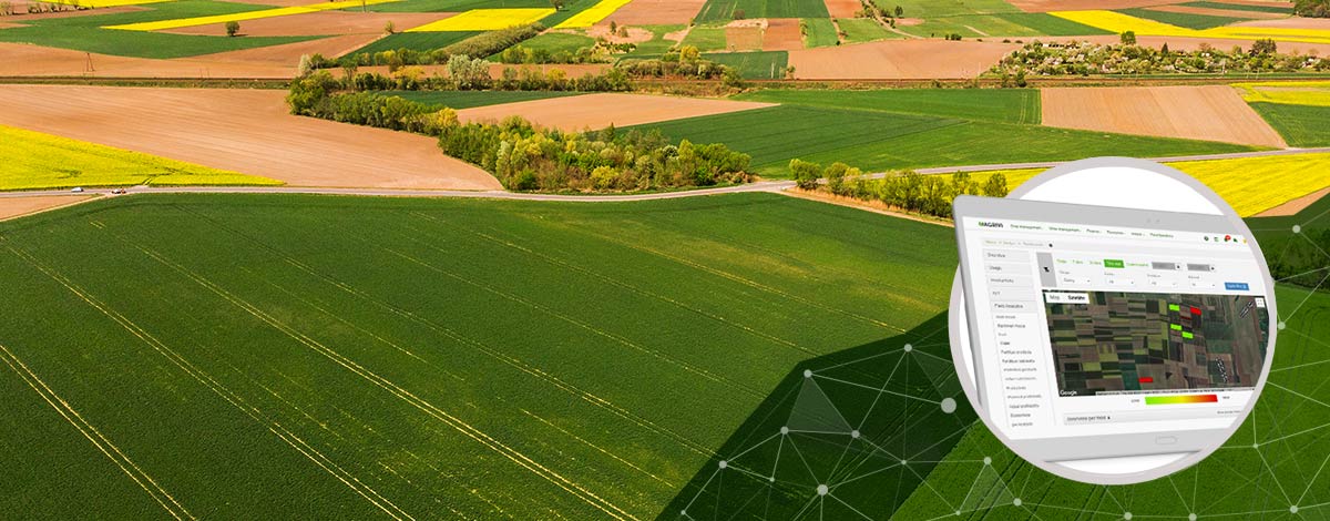 Sản xuất lương thực bền vững theo 5 cách