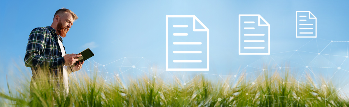 Sức mạnh của dữ liệu trong báo cáo phát triển bền vững