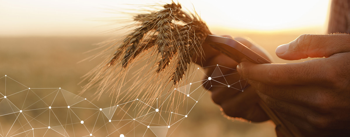 Theo dõi chi phí – Bước đầu tiên để đạt được khả năng sinh lời cao hơn