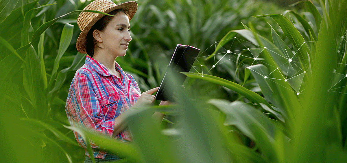 Làm thế nào để tăng khả năng sinh lời của bạn với nông nghiệp kỹ thuật số?
