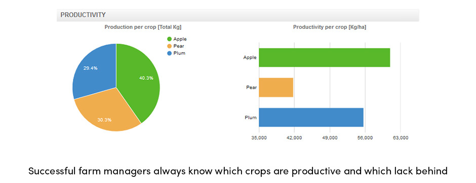 3 phẩm chất hàng đầu của một người quản lý trang trại thành công