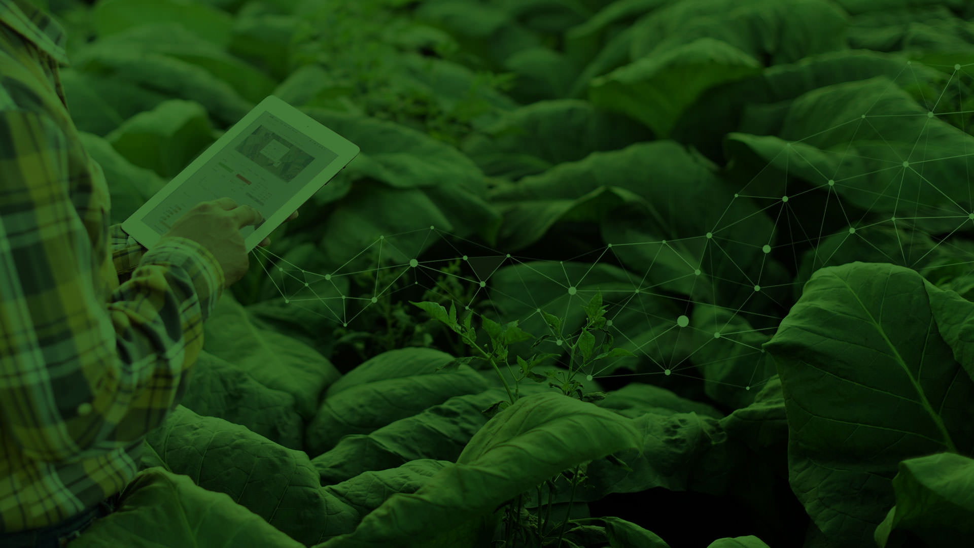 Đầu tư vào Công nghệ Nông nghiệp Kỹ thuật số và Thời gian Hoàn vốn