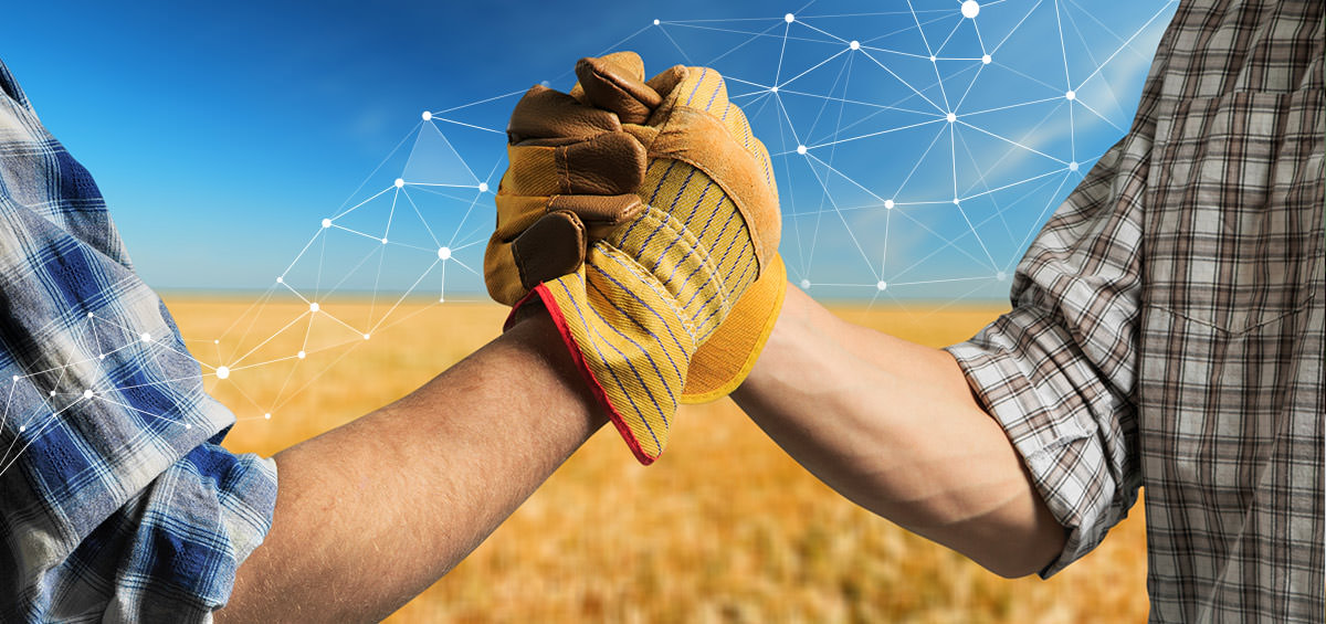 Minh bạch: Yếu tố then chốt để quản lý chuỗi cung ứng hiệu quả