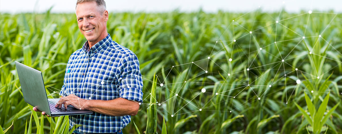 Minh bạch: Yếu tố then chốt để quản lý chuỗi cung ứng hiệu quả