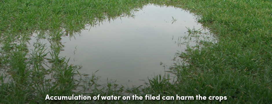 Thoát nước đất đơn giản và chi phí thấp