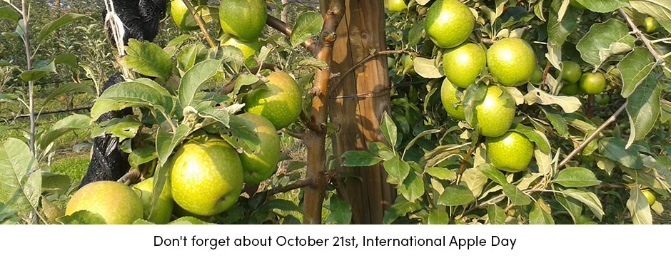 Theo đuổi thành công trong sản xuất Apple toàn cầu