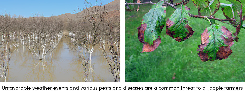 Theo đuổi thành công trong sản xuất Apple toàn cầu