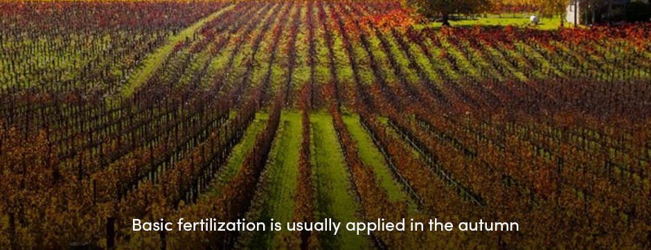 Tạo nguồn dự trữ chất dinh dưỡng bằng cách bón phân cơ bản