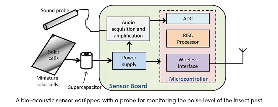 Cảm biến phát hiện dịch hại cây trồng