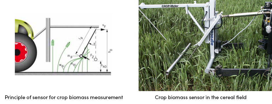 Cuộc cách mạng trang trại công nghệ cao được kích hoạt bởi công nghệ cảm biến cây trồng