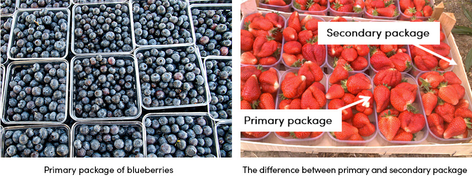 Làm thế nào để chọn gói trái cây và rau phù hợp?