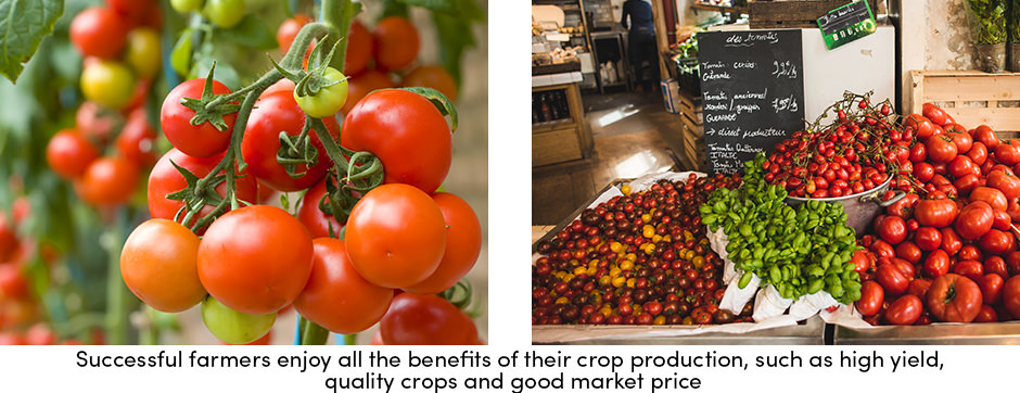 Thúc đẩy hiệu quả kinh doanh trang trại