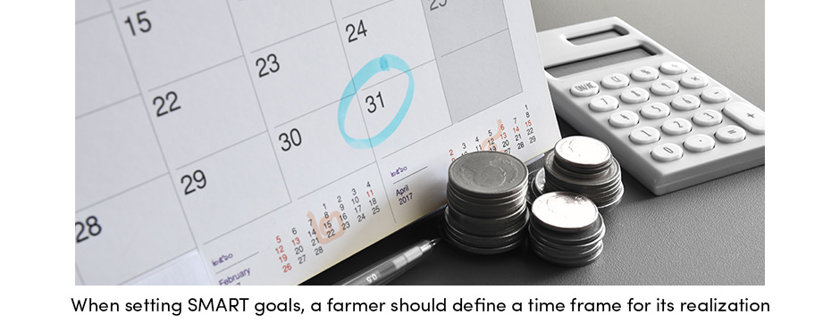 Thúc đẩy hiệu quả kinh doanh trang trại