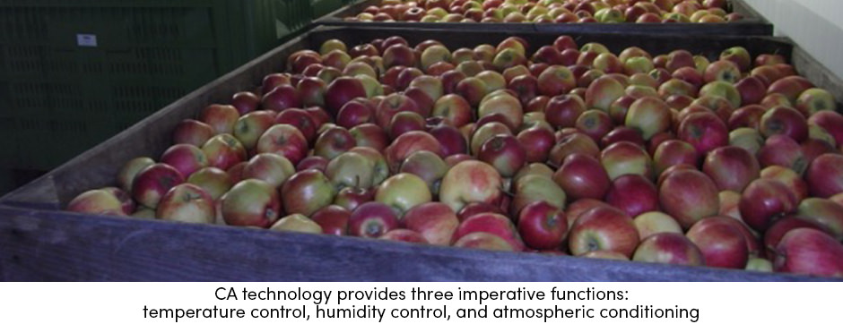 Công nghệ CA không chỉ mang đến dung lượng lưu trữ