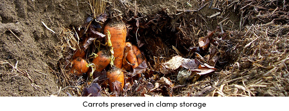 Phương pháp lưu trữ chi phí thấp như một giải pháp thay thế cho nông dân sản xuất nhỏ