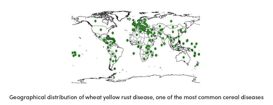 Tăng sản lượng sản xuất trang trại bằng cách giảm tổn thất năng suất