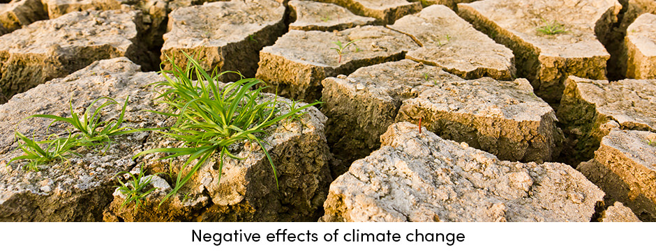 Nông nghiệp thời đại mới – Canh tác với cảm biến