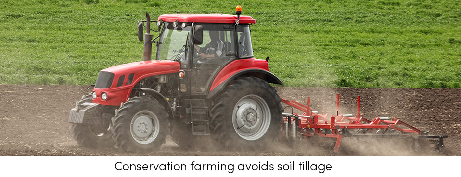 Canh tác bảo tồn có thể làm giảm biến đổi khí hậu như thế nào?