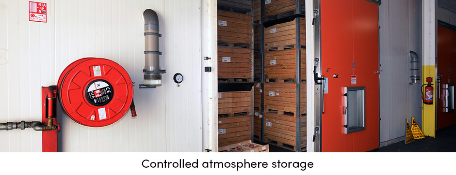 Những cải tiến trong AgTech đang cách mạng hóa ngành nông nghiệp